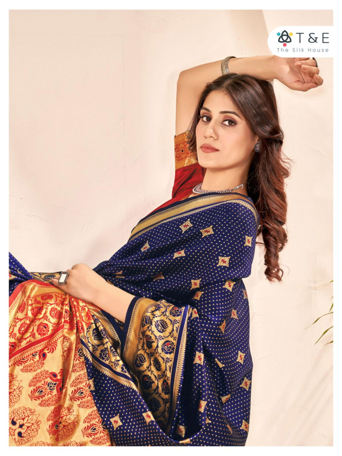 Aaradhya By T And E Party Wear Sarees Catalog